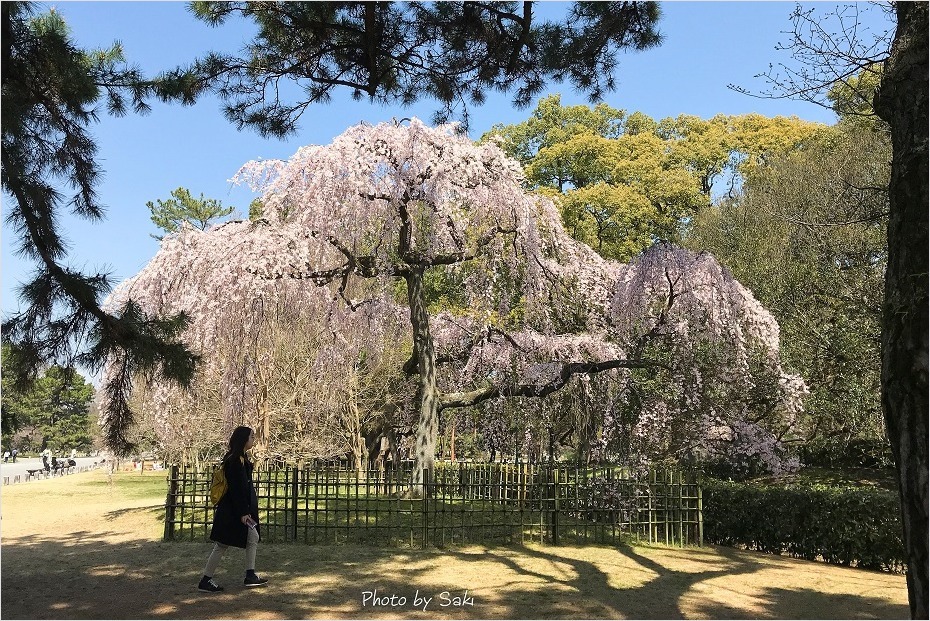 華やぐ季節。_b0311208_20390241.jpg