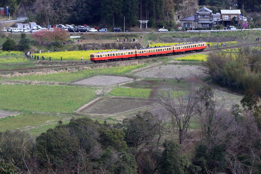 春の気動車 - 2020年早春・小湊鉄道 -_b0190710_21553984.jpg