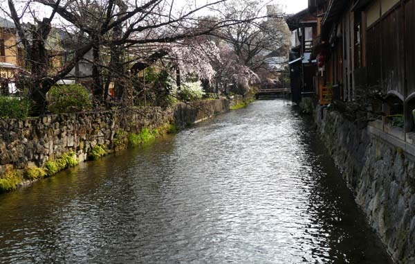しだれ桜が咲いていた　祇園新橋_e0048413_21334724.jpg