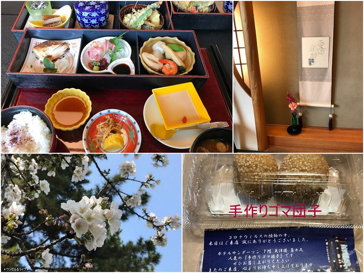 * 水芭蕉とゴマ団子 *_d0317115_21321242.jpg