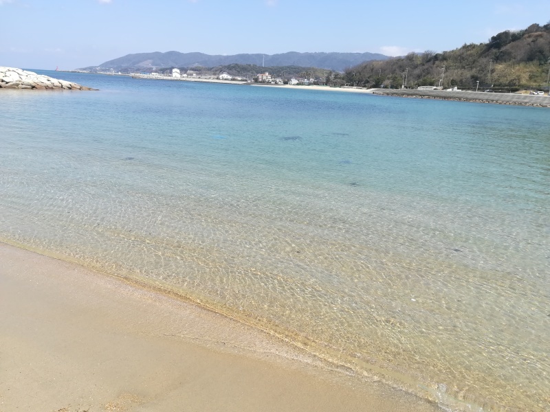 犬連れ淡路島旅行_a0390219_12224519.jpg