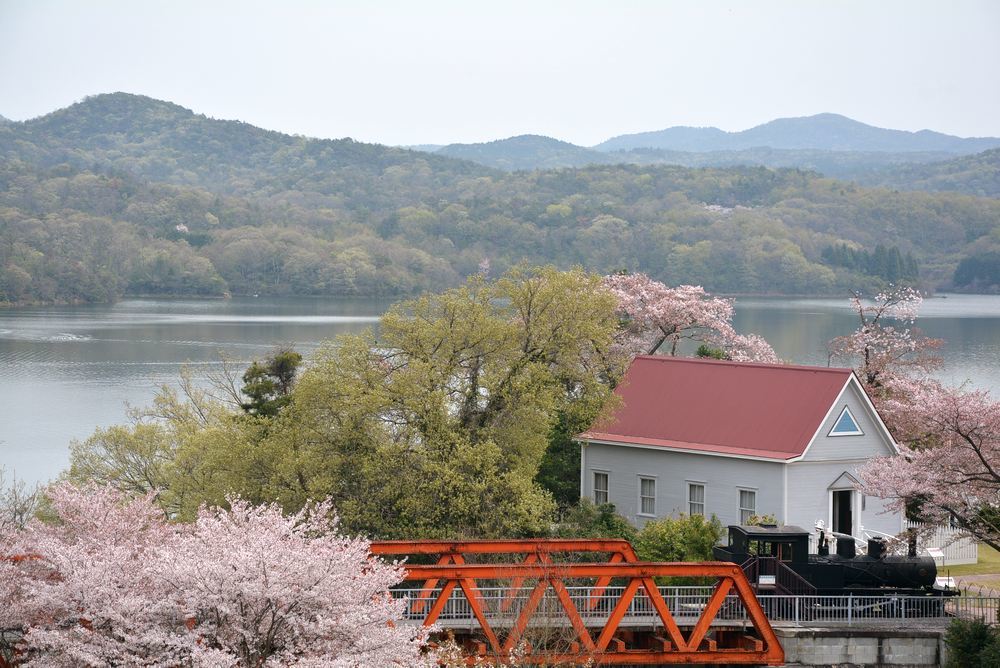 六郷川橋梁付近の桜_e0373930_20190454.jpg