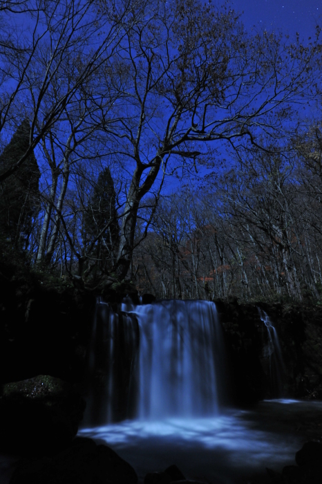 蕾と盛_f0050534_22000433.jpg
