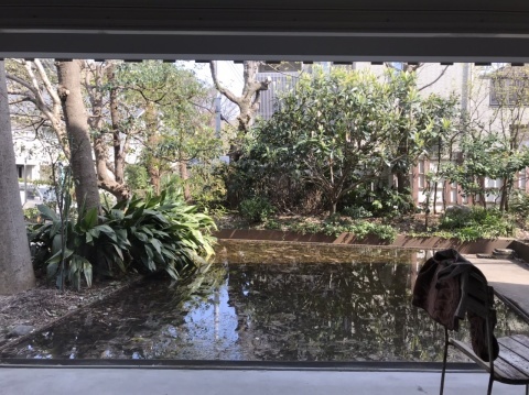 3月21日 村井正誠記念美術館_a0317236_07474191.jpeg
