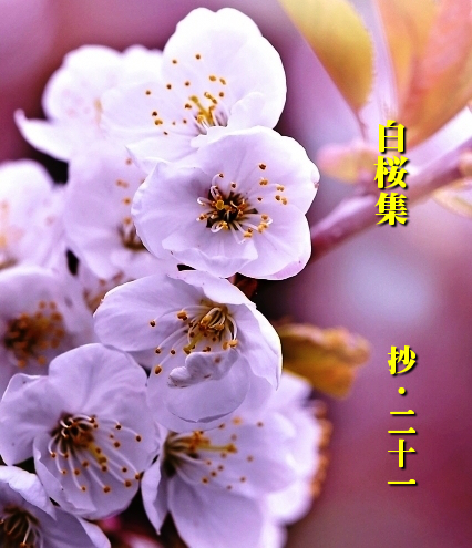 与謝野晶子第二十四歌集【白桜集】抄ー21 : Merrydiary