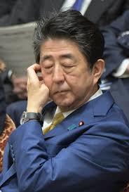 安倍総理と麻生大臣を讃える⁉️_b0084241_21332023.jpeg