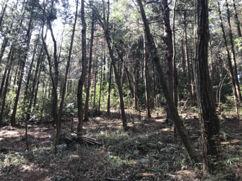 加治丘陵阿須山でマウンテンバイクに乗ってきました_e0304942_11533658.png