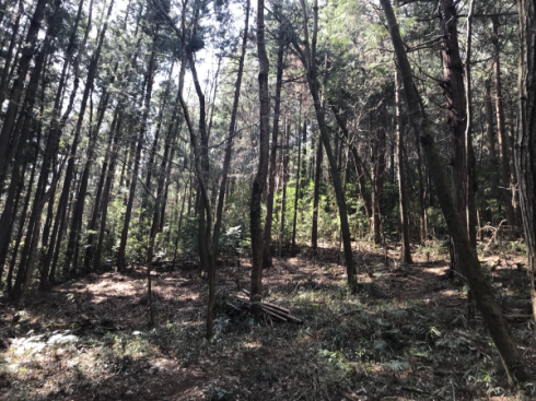 加治丘陵阿須山でマウンテンバイクに乗ってきました_e0304942_11545910.png