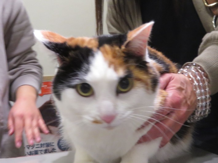 3 月 24 日の写真_c0174644_13191285.jpg