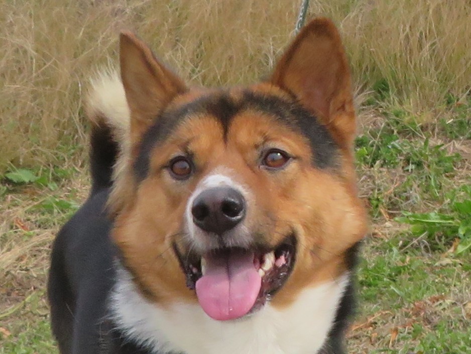 3 月 24 日の写真_c0174644_13192336.jpg