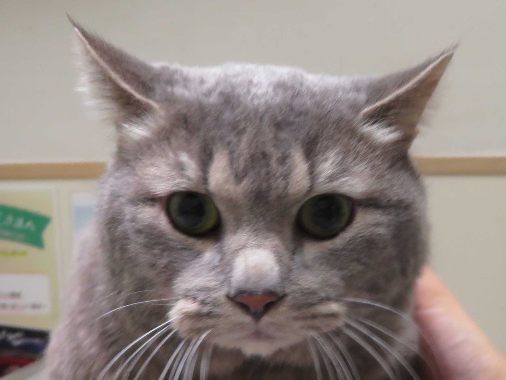3 月 24 日の写真_c0174644_13192430.jpg