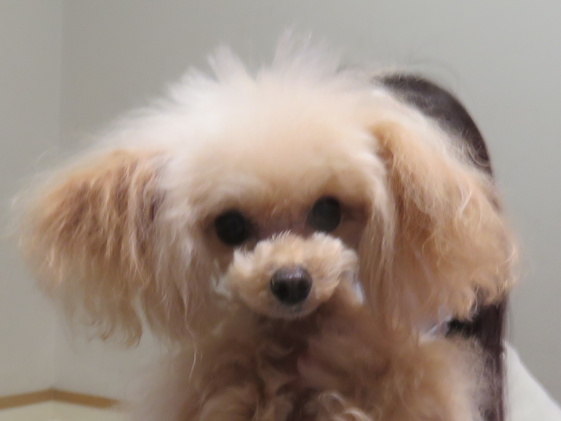 3 月 24 日の写真_c0174644_13193717.jpg