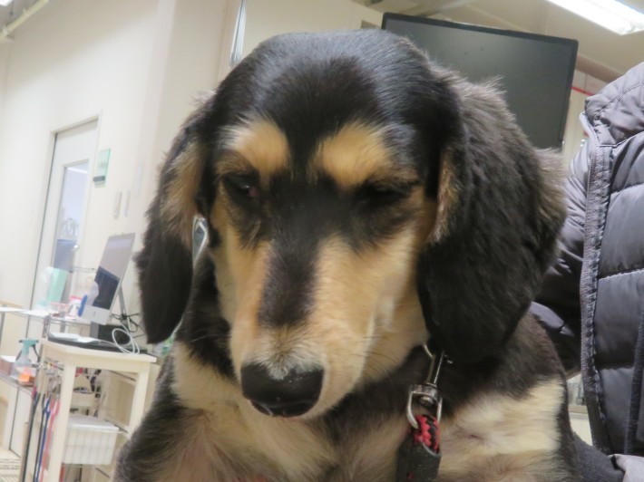 3 月 24 日の写真_c0174644_13193767.jpg