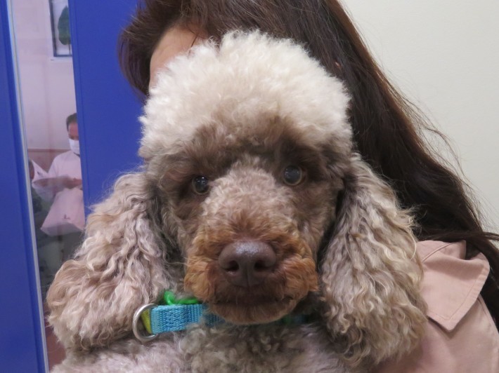 3 月 24 日の写真_c0174644_13193891.jpg