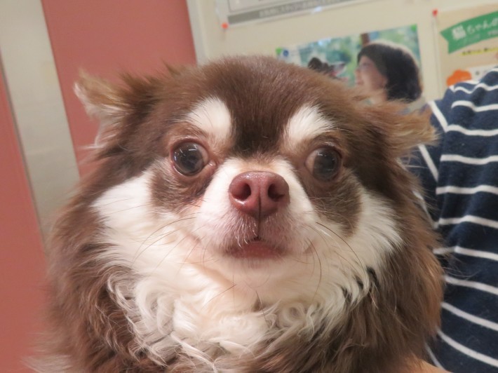3 月 24 日の写真_c0174644_13194847.jpg