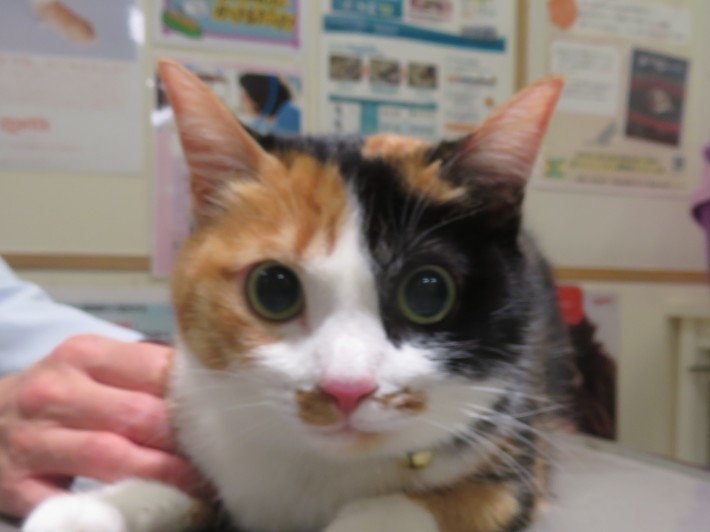 3 月 24 日の写真_c0174644_13194867.jpg
