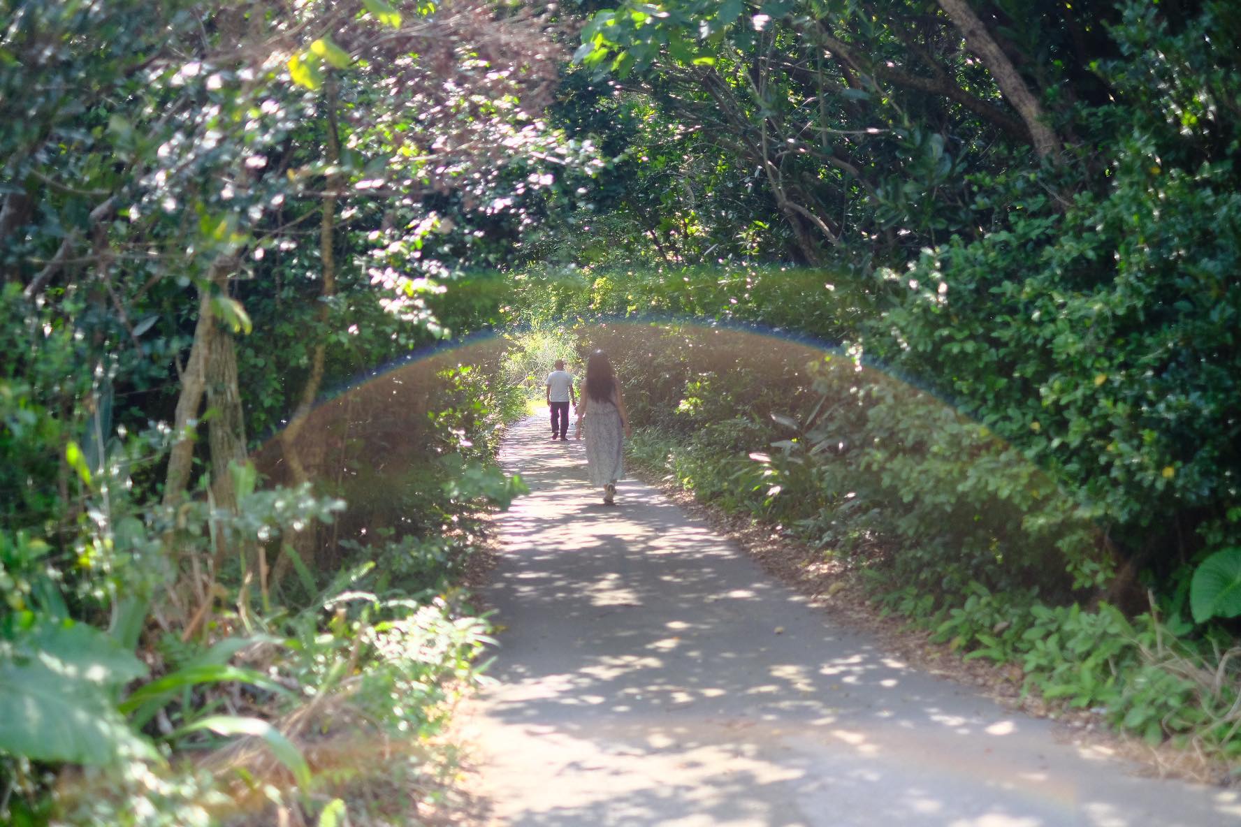【神旅四日目】あまりにも美しすぎて、切ない… 2020.3.17_b0002156_1925866.jpg