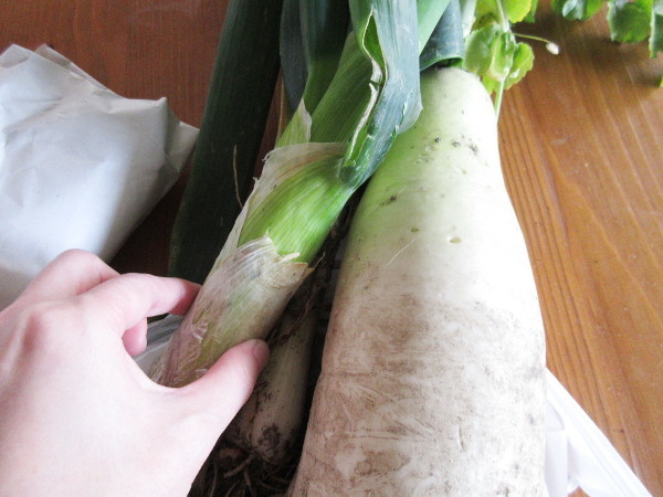 【コラム】お友達に畑の野菜を沢山貰いました!_c0152767_18485645.jpg