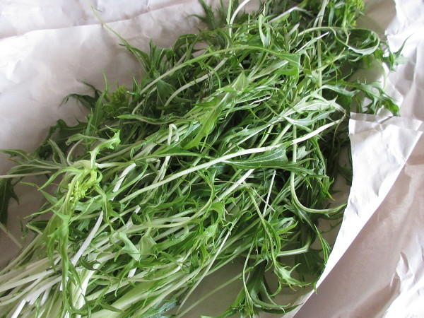 【コラム】お友達に畑の野菜を沢山貰いました!_c0152767_18501552.jpg