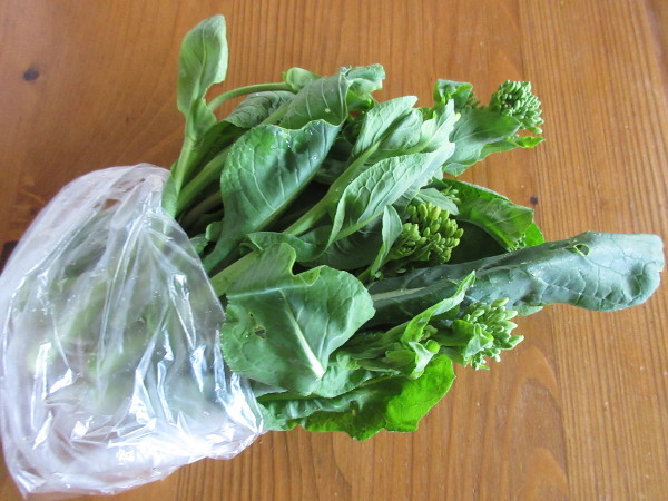 【コラム】お友達に畑の野菜を沢山貰いました!_c0152767_18512010.jpg