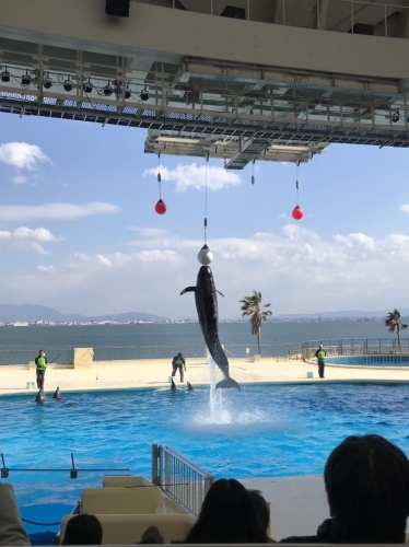 初めまして_f0357682_00290132.jpg