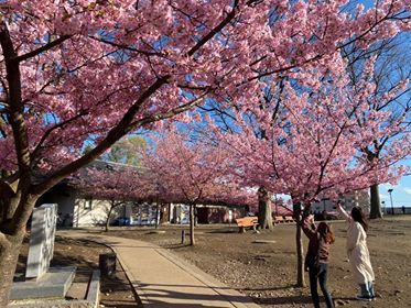 ベトナム人女性の面接をしてきました（2）宗教を持っている日本人男性のみなさんへ_b0355085_04104717.jpg