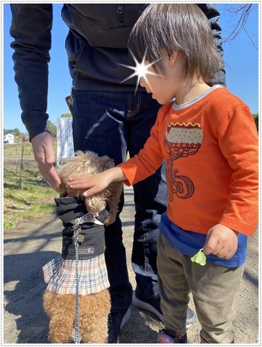 少し早かったチューリップの公園、さくらも大もあまり興味なさげだけど、もう一度付き合ってね～_b0175688_00164477.jpg