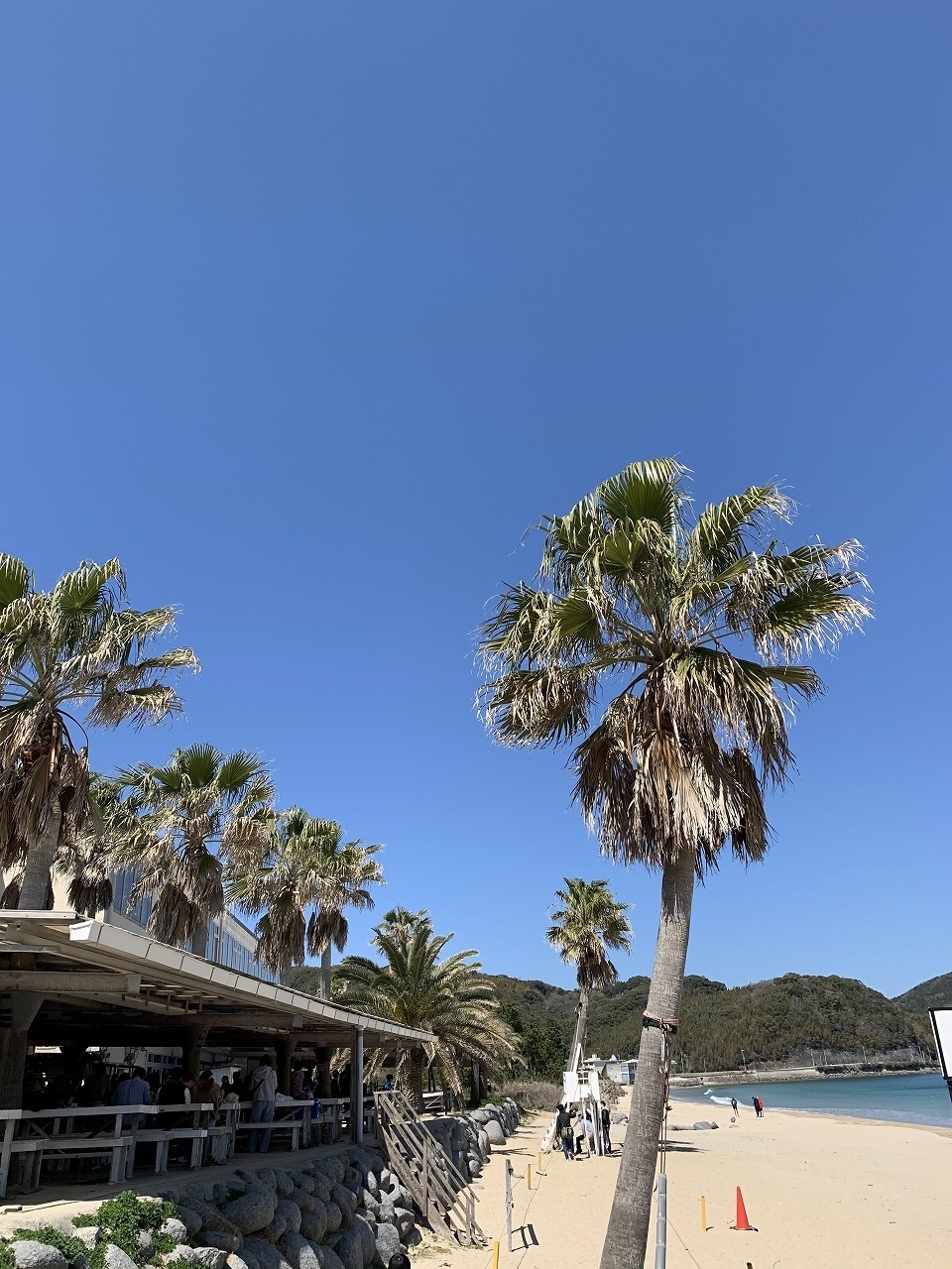 連休は・・・_b0175400_10454043.jpg