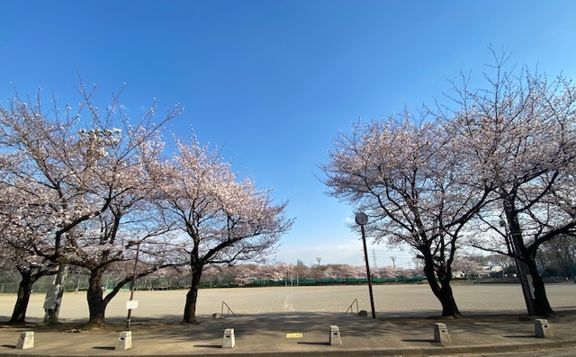 真摯な附帯決議_d0130714_20301317.jpg