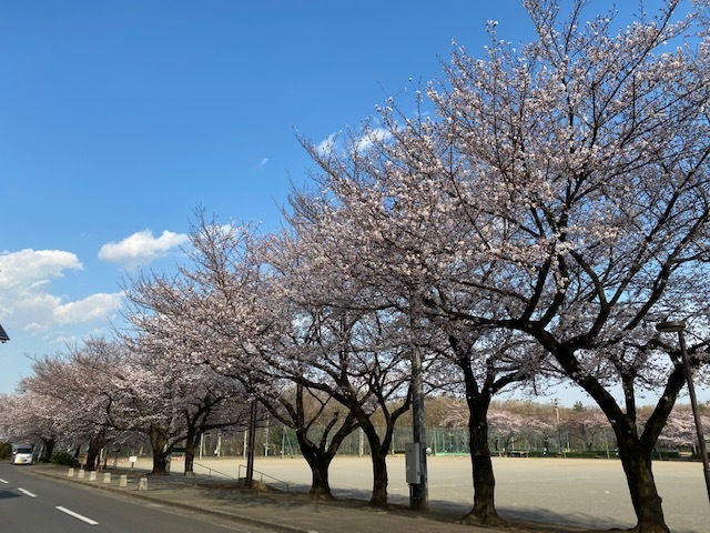 真摯な附帯決議_d0130714_20301330.jpg