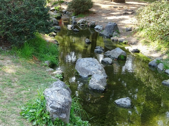 京都御所の出水の桜_b0299042_21503523.jpg