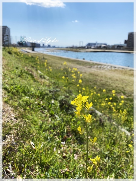 しずかな時間・・・_a0341548_18261861.jpg