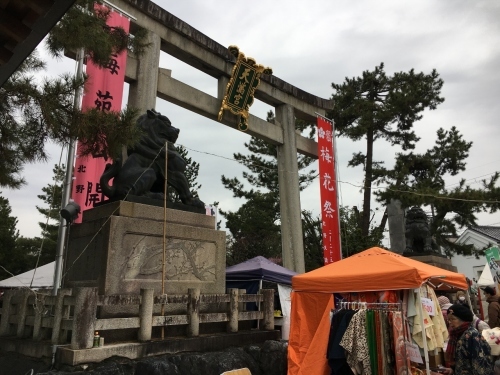 京都・奈良 冬の旅’20 その6_e0326953_18223638.jpg