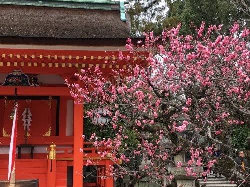 京都・奈良 冬の旅’20 その6_e0326953_18343636.jpg