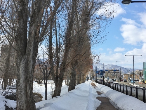 京都・奈良 冬の旅’20 その6_e0326953_19104621.jpg