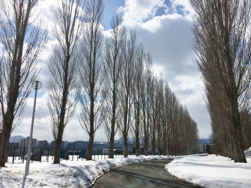 京都・奈良 冬の旅’20 その6_e0326953_19110457.jpg