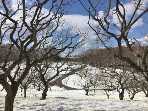 京都・奈良 冬の旅’20 その6_e0326953_19125090.jpg