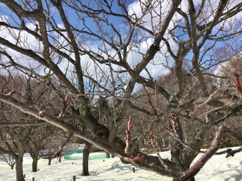 京都・奈良 冬の旅’20 その6_e0326953_19130003.jpg