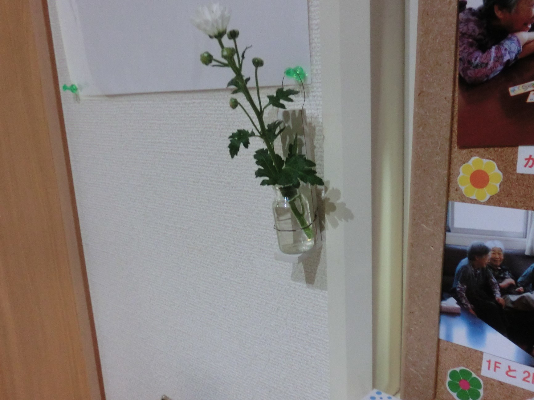 生花!_d0178056_20343268.jpg