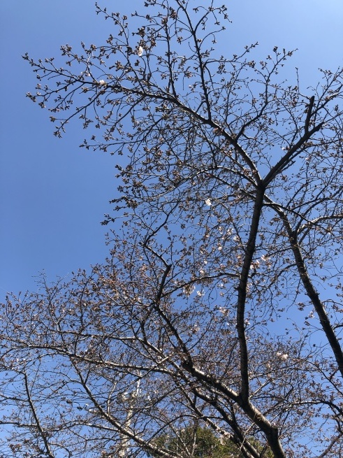 ご協力ありがとうございます!_f0180576_14481786.jpeg