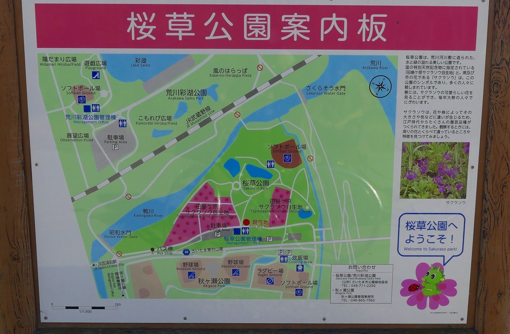 大洪水にも負けず!_a0185081_10123394.jpg
