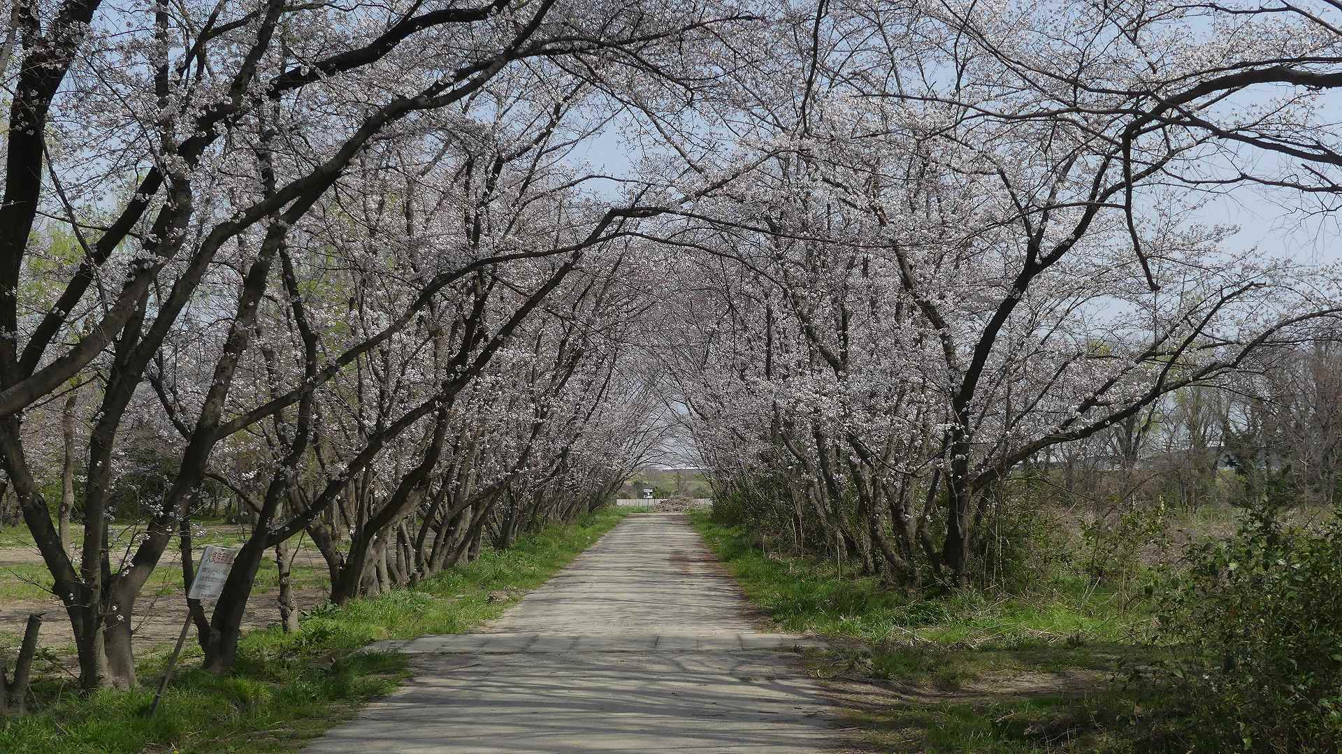 追いかけて! キレンジャー_a0185081_15511283.jpg