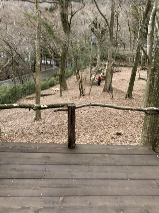 2020年3月23日雪だったよ_b0098584_20024651.jpeg