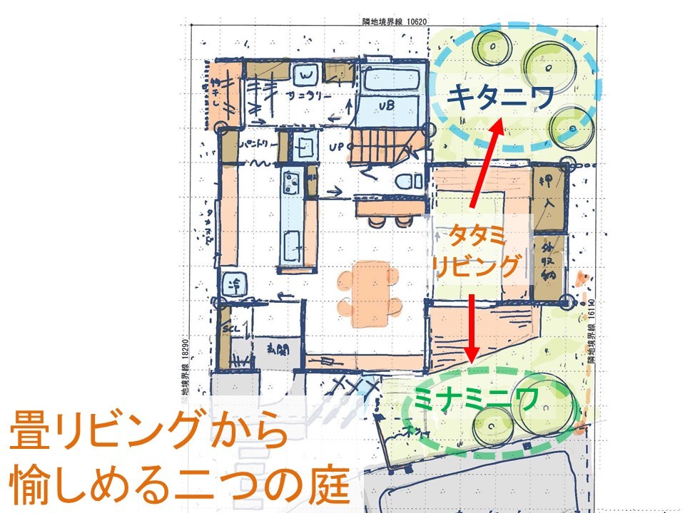 オープンハウス開催! 畳リビングから二つの庭を愉しむ住まい_b0349892_06142042.jpg