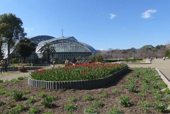 春の花を楽しんだ　京都府立植物園_e0048413_21005410.jpg