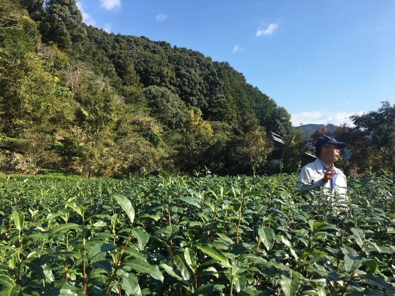 ぎゅっと色んなこと_b0220318_12273031.jpg