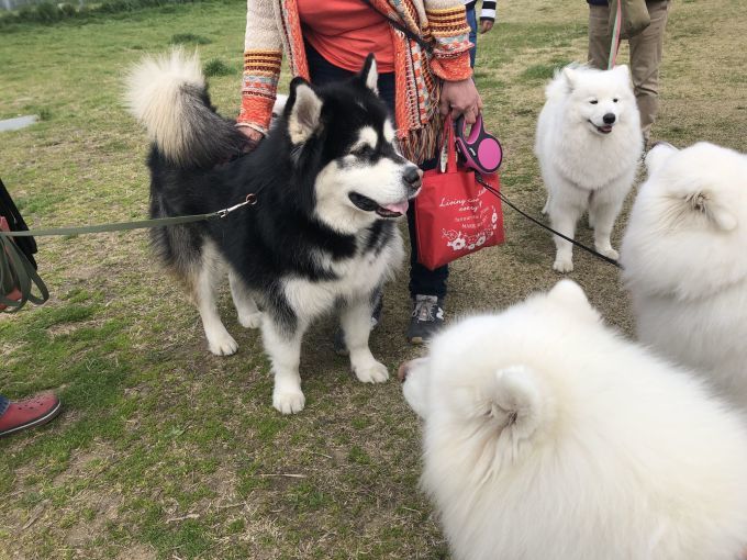 プチオフ in 海とのふれあい公園_f0128542_00584645.jpg