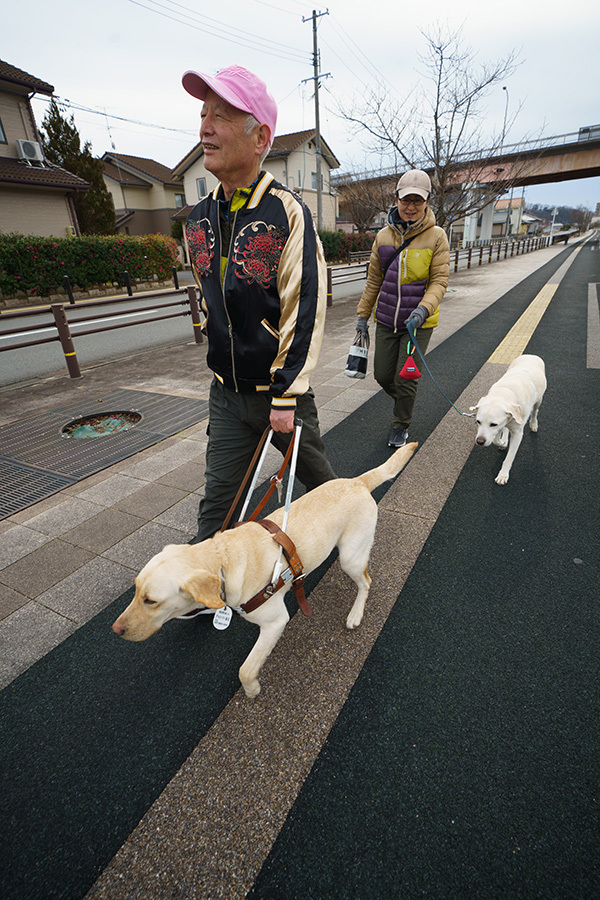 リタイア犬日記 1 27 現役のアイメイトに会う 写像的空間