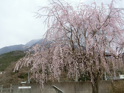 下部醍醐山トレッキング_f0019247_16152071.jpg