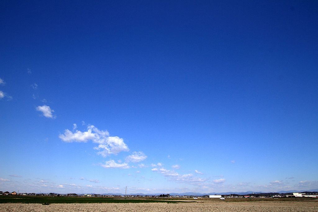 田んぼ道の散策_e0220163_14220144.jpg
